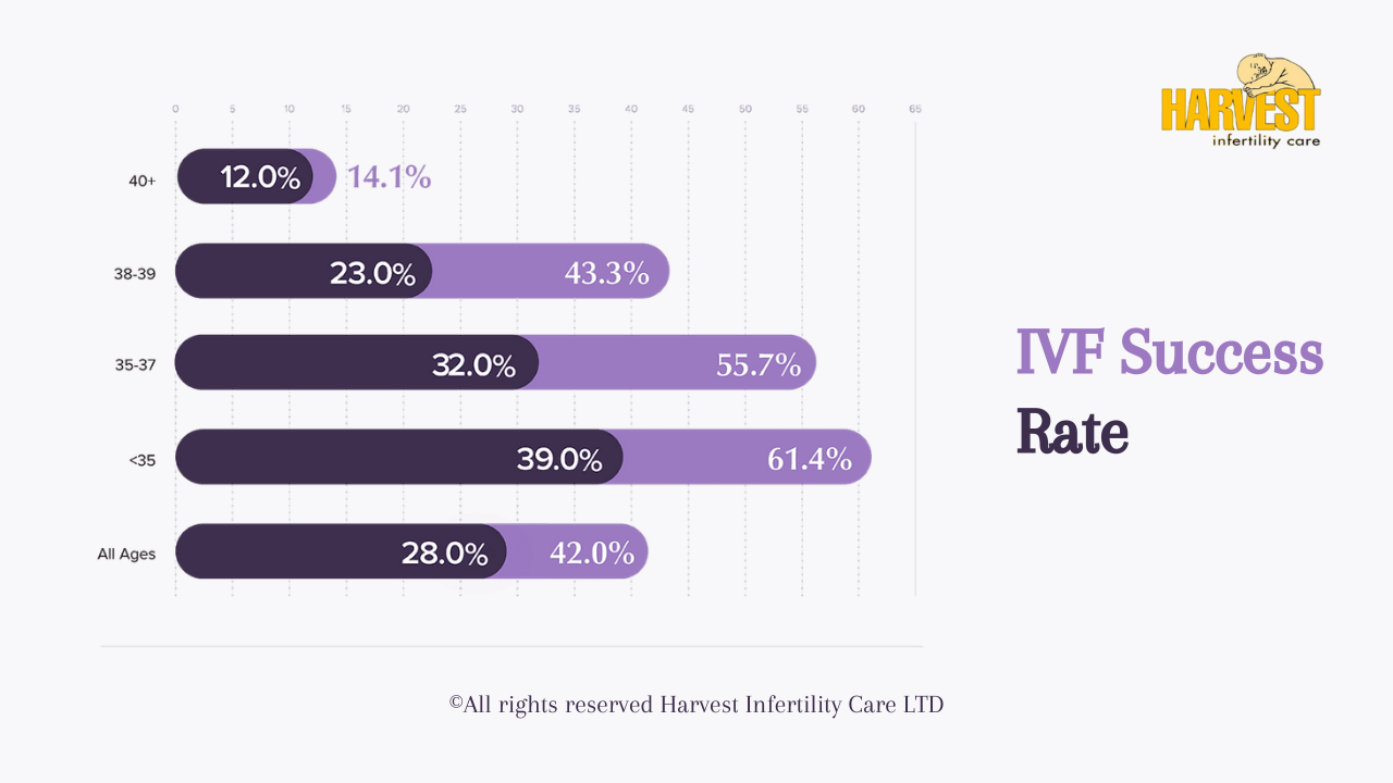 IVF Success Rate