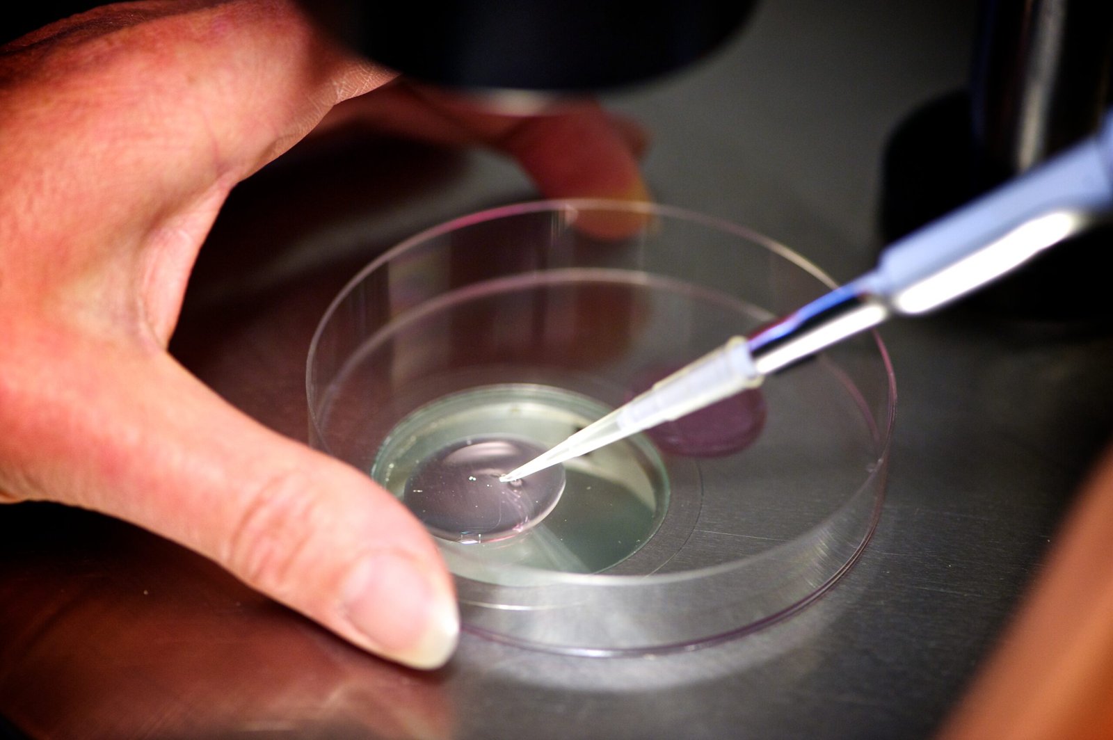 IVF in Bangladesh