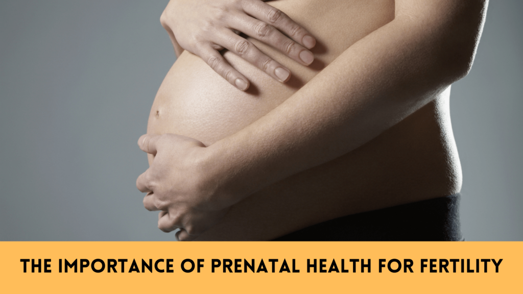 The Importance of Prenatal Health for Fertility