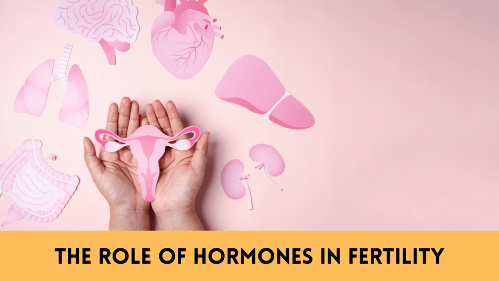 The Role of Hormones in Fertility