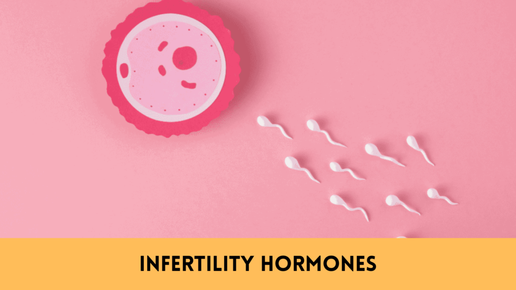 infertility hormones