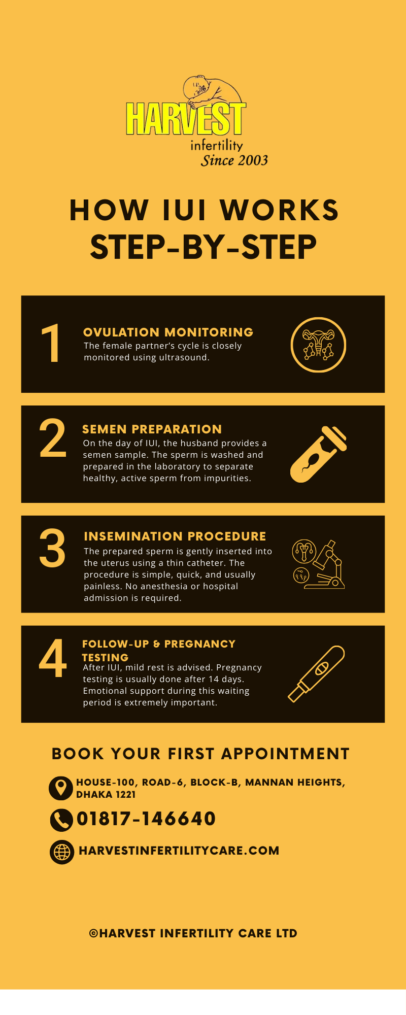 How IUI Works – Step-by-Step Infographic