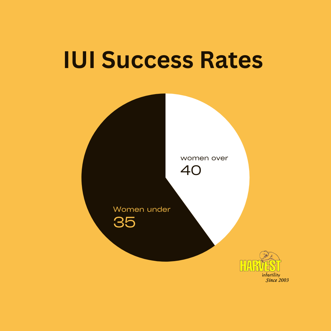 IUI Success Rates in Graph