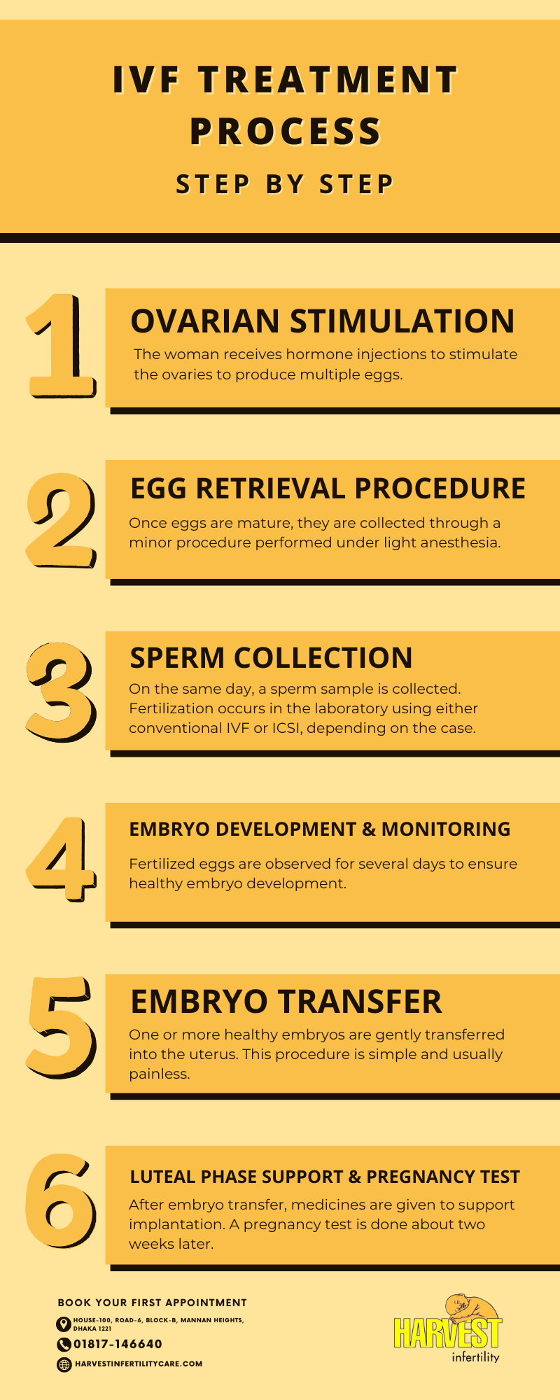 IVF Treatment Process – Step by Step Infographic