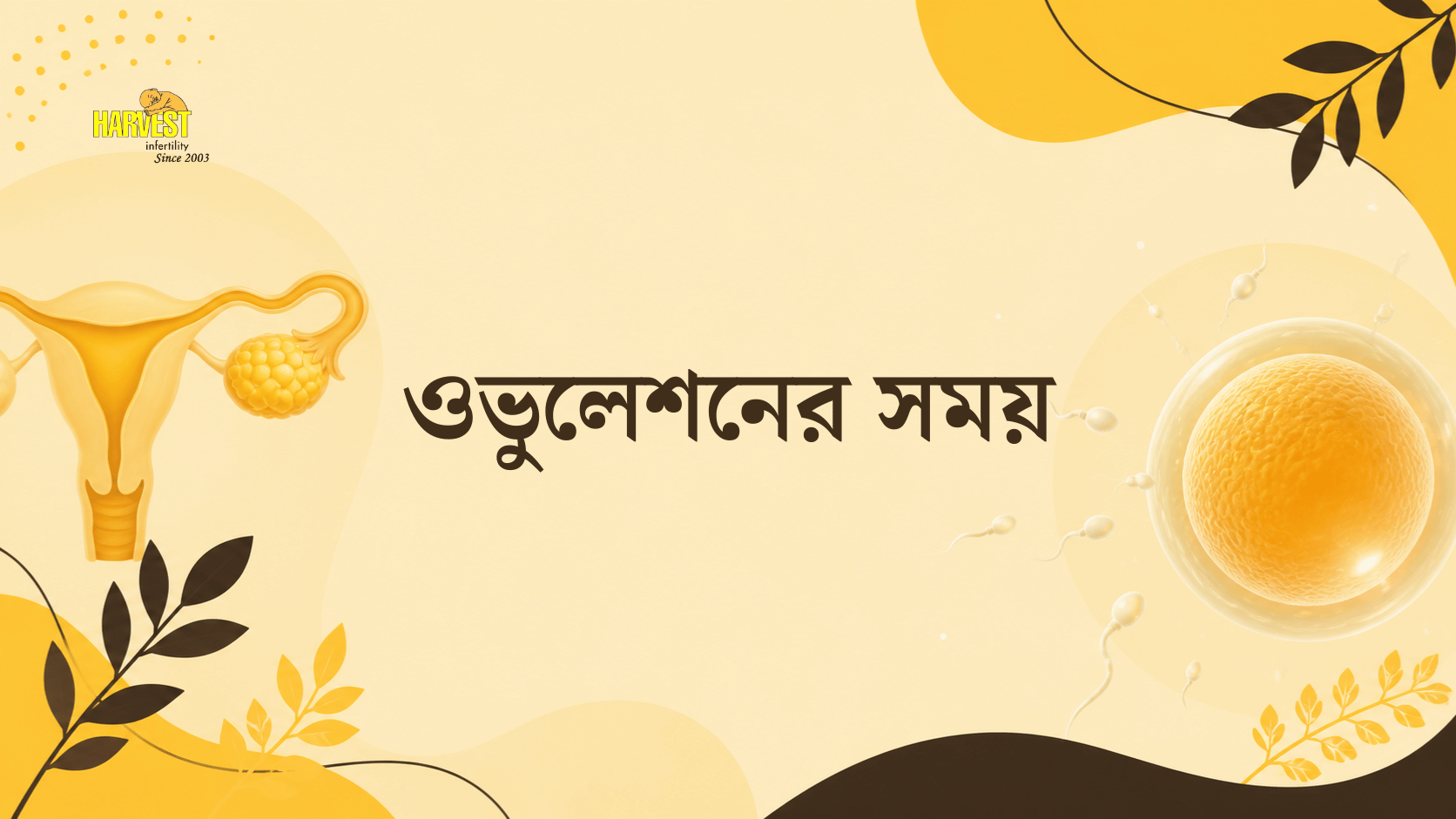 ওভুলেশনের সময়
