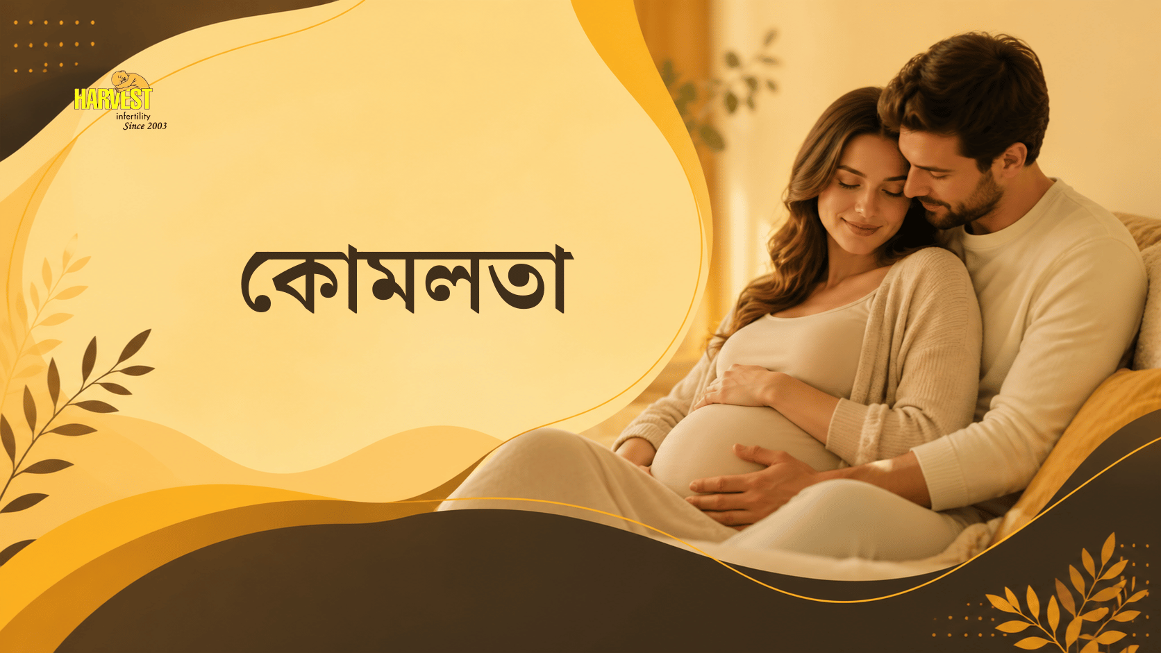 কোমলতা