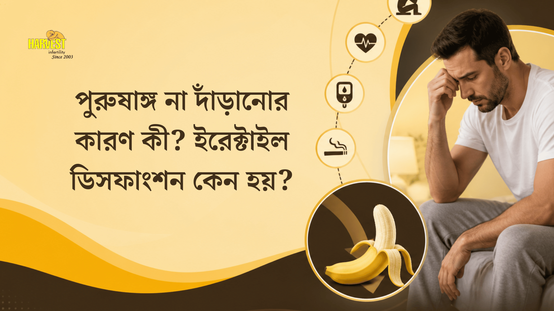 পুরুষাঙ্গ না দাঁড়ানোর কারণ কী ইরেক্টাইল ডিসফাংশন কেন হয়