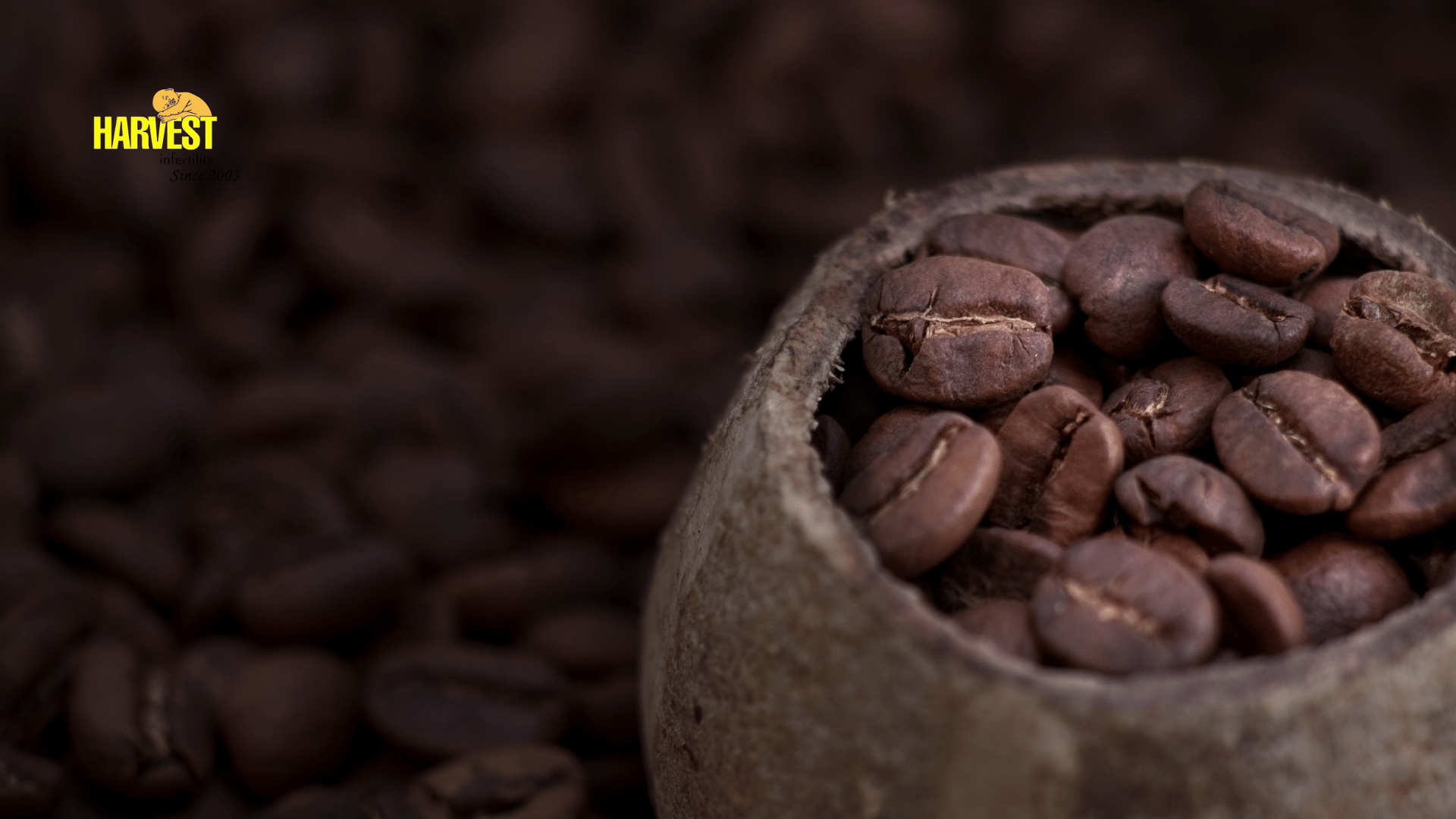 Excess-caffeine